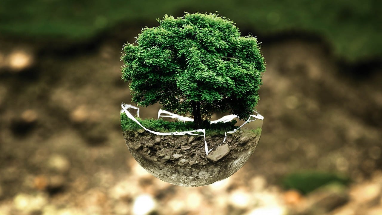6 cosas que tu negocio puede hacer para ayudar al medio ambiente